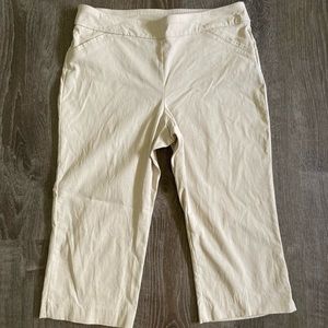 Briggs Petite Capri Shorts Size 10p